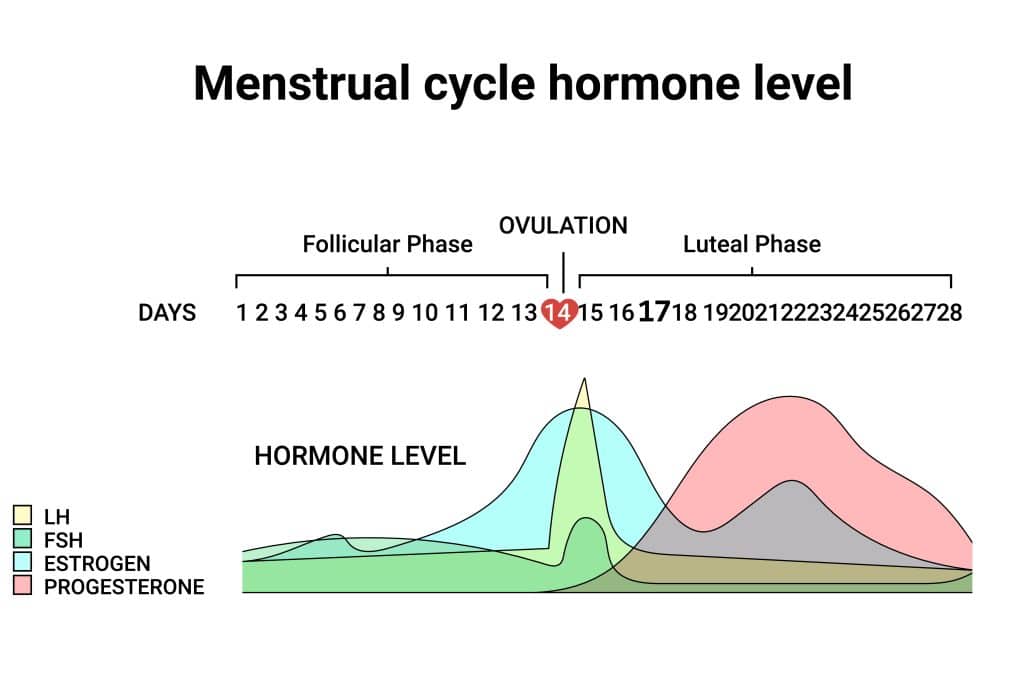 Unveiling the Mysteries of Day 17: How Hormonal Fluctuations Affect Your Mood