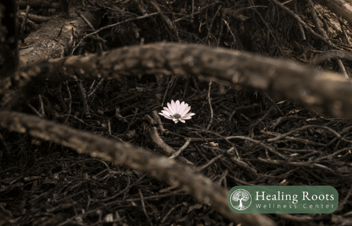 Healing Roots Wellness Center - The Power of “We Will Wait and See” in Times of Political Change