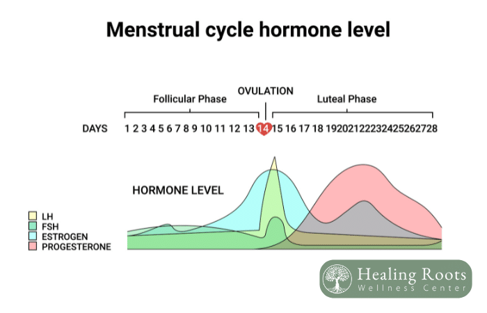 Understanding Women’s Hormones How They Shape Mood and Emotional Health