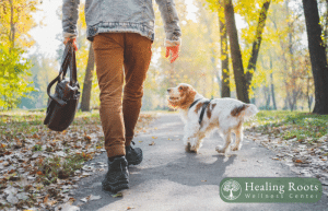 More Than Just a Pet: How Our Animals Become Lifelong Companions in Times of Change